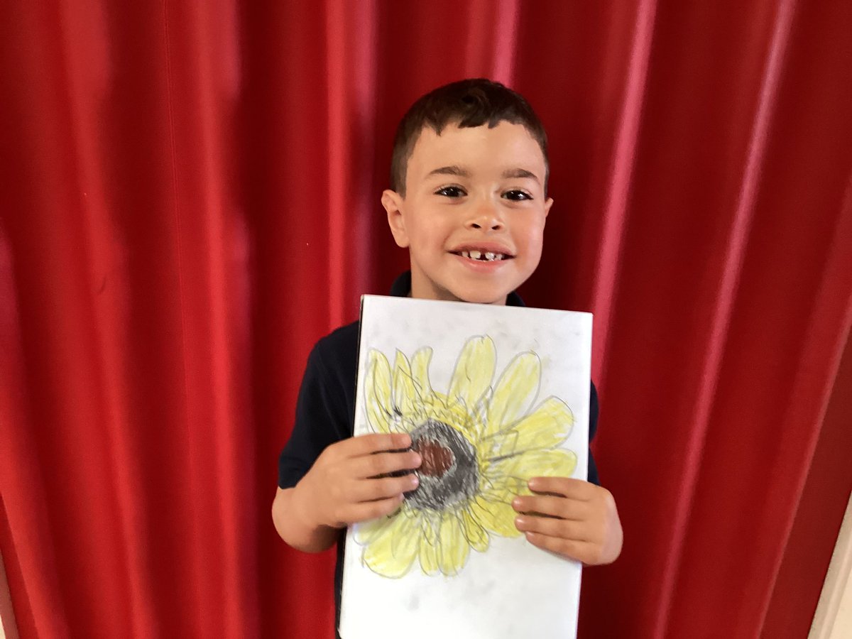 We had a fabulous sunflower day 🌻. We sketched a sunflower. How fabulous are these drawings. Da iawn pawb! @cgiexart @cgieco