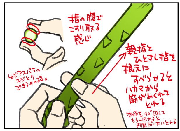 擦ってスジ取るやつ
(絵のアスパラがぶっといが気にせんといてくれ(なんでわざわざ描いたの?(なんとなく 