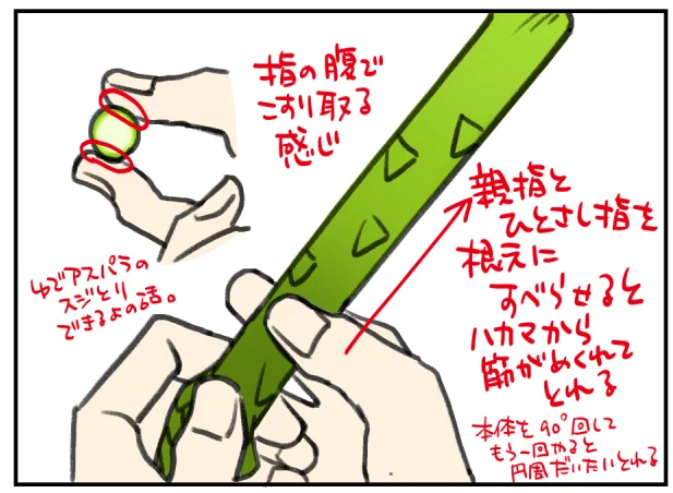 擦ってスジ取るやつ
(絵のアスパラがぶっといが気にせんといてくれ(なんでわざわざ描いたの?(なんとなく 