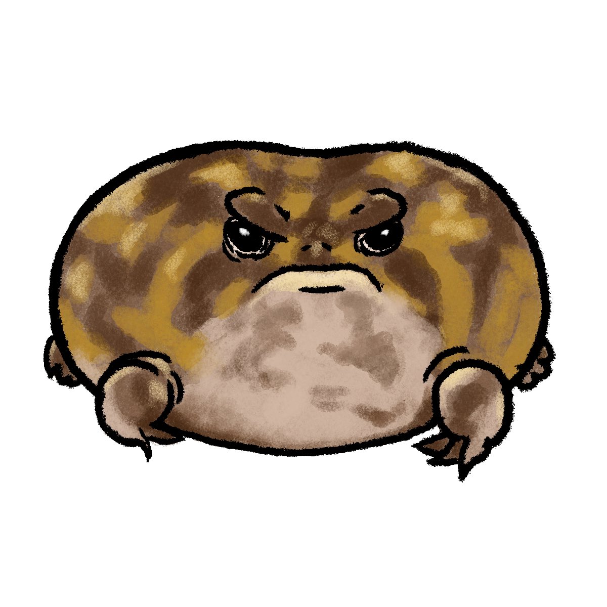 Emily Mottesheard tweet media