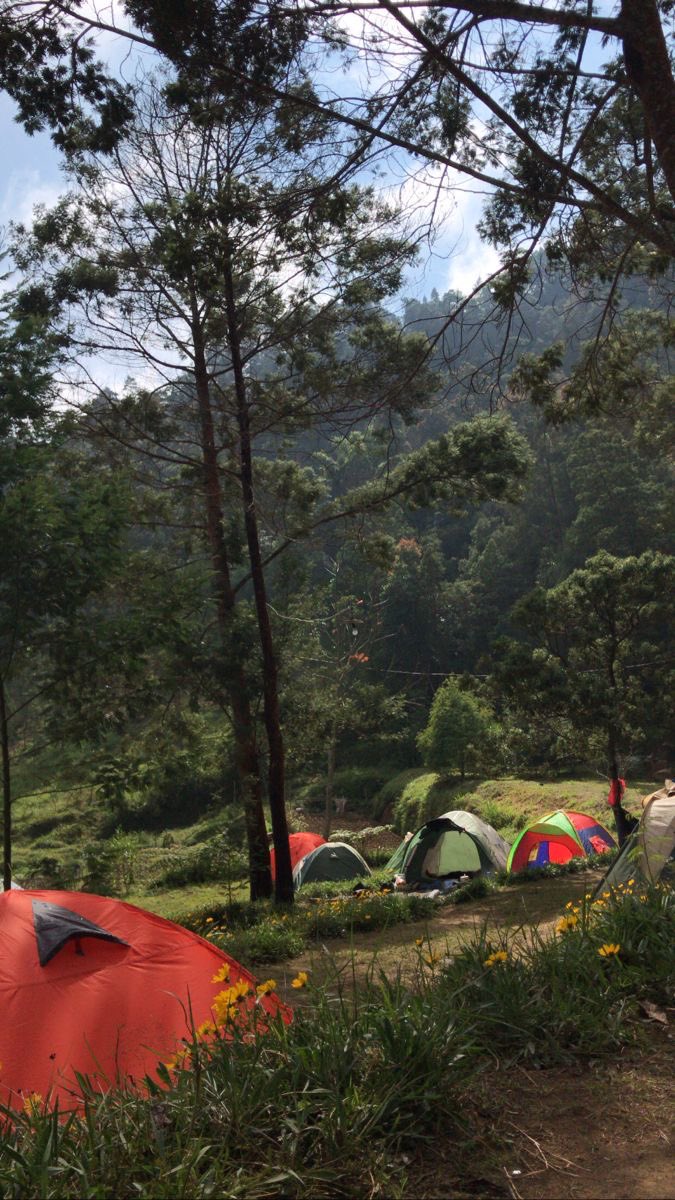 I feel like Toshi pernah keceplosan sekali ke mbak sekre.

Kalian lagi acara LDKS di camping ground, posisinya gelap dan dingin banget, Toshi gak enak badan tapi gengsi bilang, kamu udah ngeh duluan kalau toshi sakit, jadi kamu kasih fresh care dan tolakangin, at that moment yang