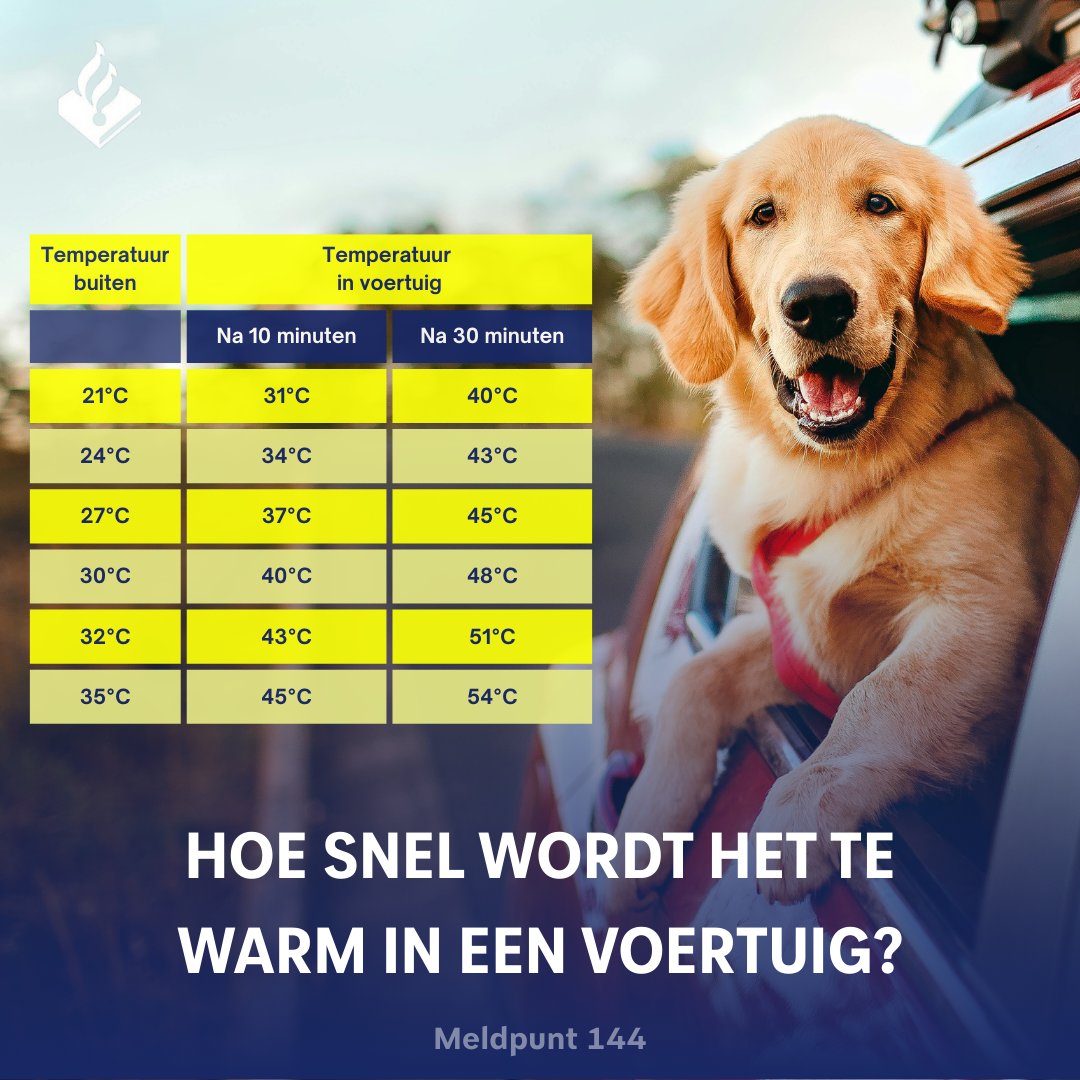 Dieren moeten ook weer even wennen aan de warmte!☀️

💧 Zorg voor voldoende water
🌳 Creëer een beschutte plek
🏃‍♂️ Vermijd inspanning op het heetst van de dag
🚗 Laat geen dier achter in een voertuig

Houd een oogje op de #dieren in je omgeving?

Zorg om een dier? Bel met ☎️144.