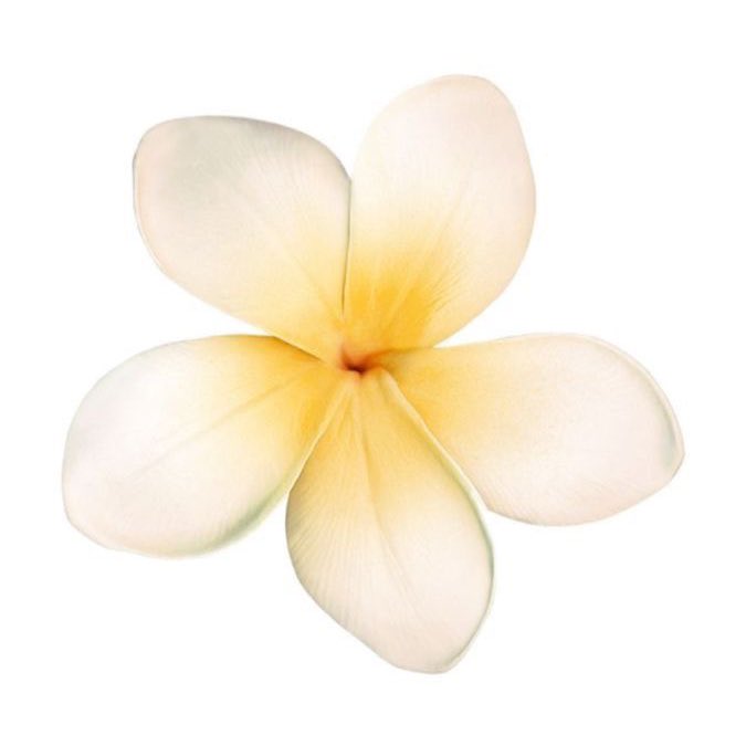 2beepStudio's tweet image. ‧₊˚ พวงห้อยหัวใจ 🫳🏻🌺 ⋆｡˚

+เพิ่มชิ้นละ 10 บาทค่า 💭
ตอนนี้มีสีชมพูกับขาวนะคะ