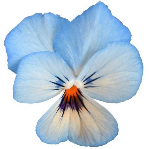 2beepStudio's tweet image. ‧₊˚ พวงห้อยหัวใจ 🫳🏻🌺 ⋆｡˚

+เพิ่มชิ้นละ 10 บาทค่า 💭
ตอนนี้มีสีชมพูกับขาวนะคะ