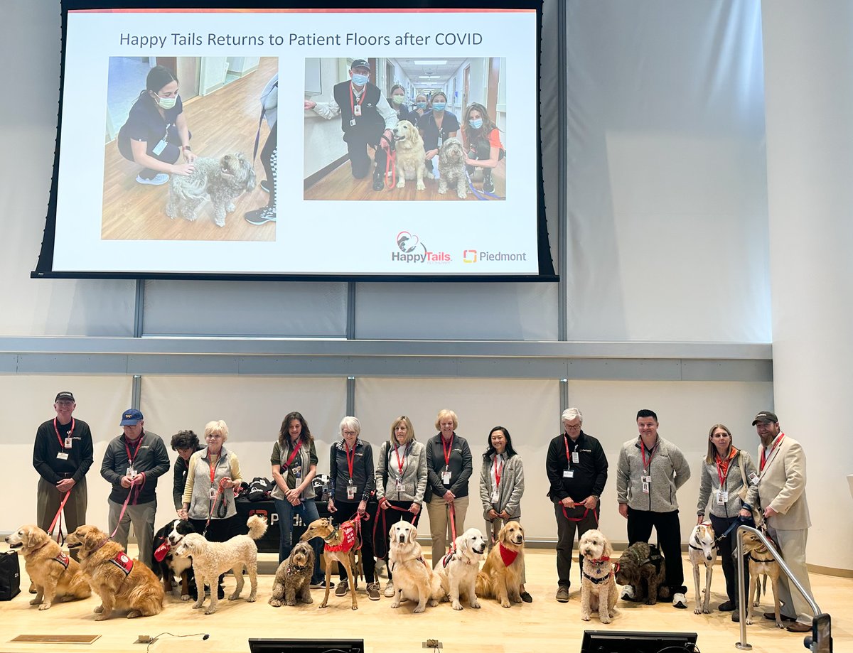 Meet Piedmont's four-legged healers. Thanks to partnerships with amazing community organizations, our patients receive visits from trained therapy dogs who offer comfort, reduce stress, and create moments of joy during their stay. These therapy dogs aren’t just adorable—they’re