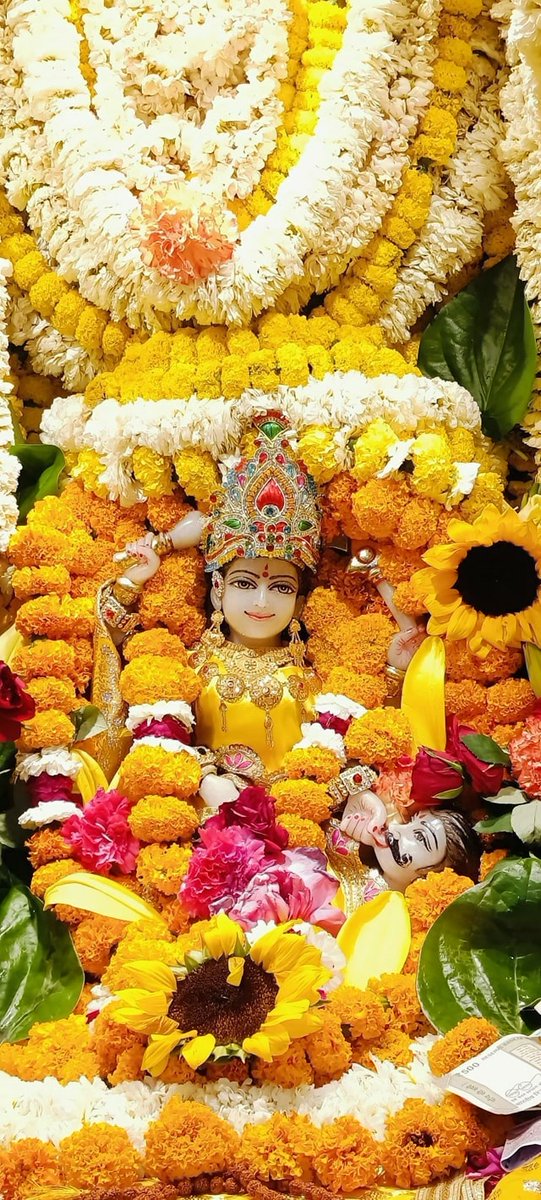 🙏 जय माई की 🙏