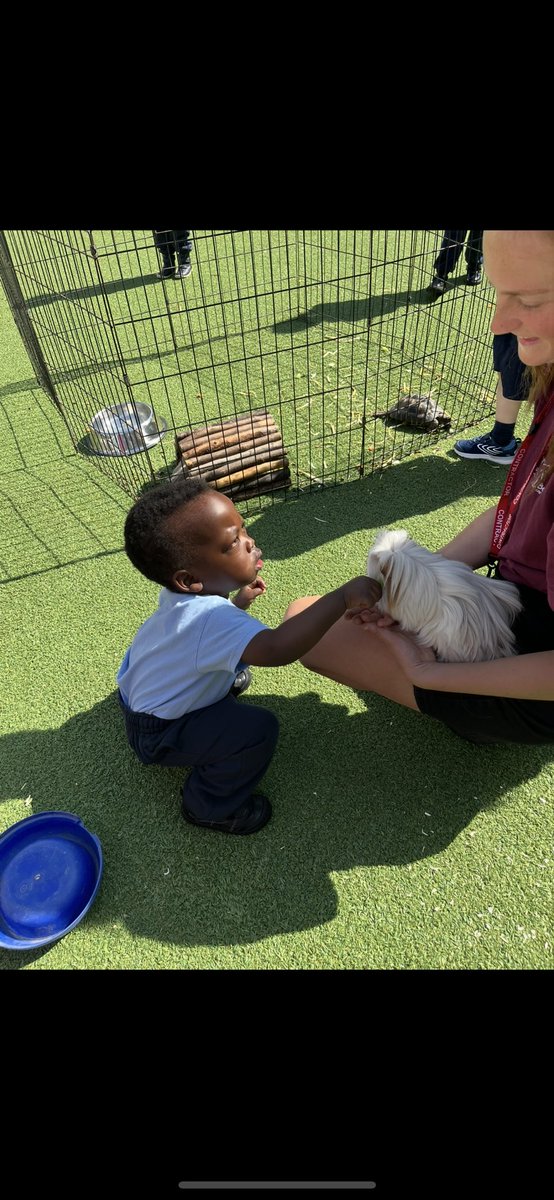 A magical day with Basil &amp; Crew! Our children in Acorns loved feeding, stroking, and learning about the adorable farm animals. Smiles, giggles, and hands-on fun made it an unforgettable experience! 🐓🐢🐴🦆