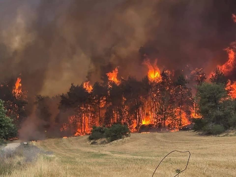 مشاهد لفرار آلاف الاسرائيليين جراء الحرائق المستعرة في القدس , ووسائل اعلام اسرائيلية تزعم اعتقال شاب فلسطيني تسبب في هذا الحريق