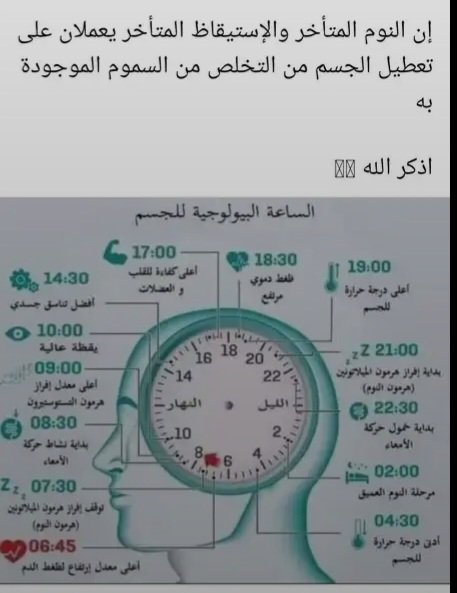 مساءالخير