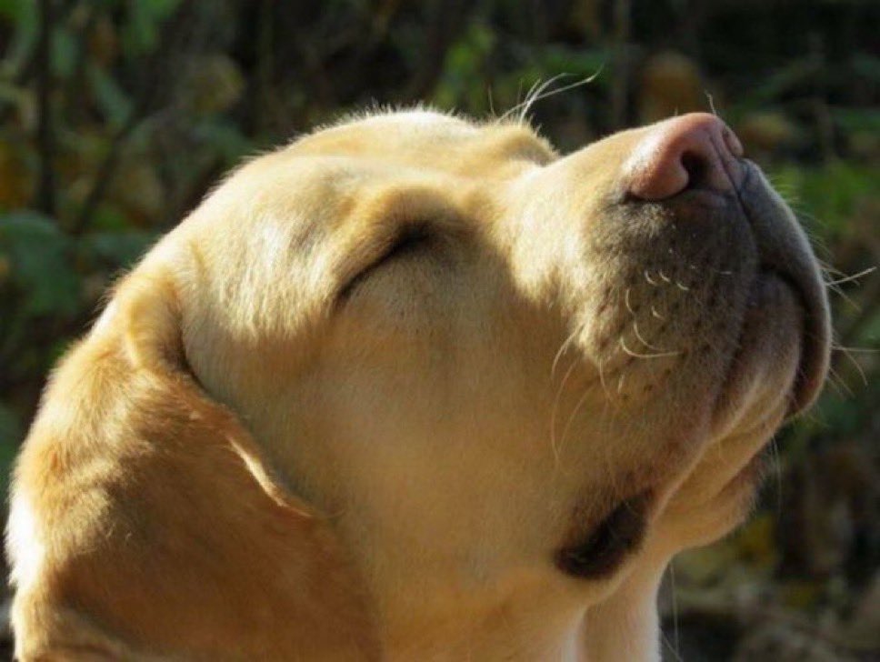 🎰 (@srterrio_) on Twitter photo 