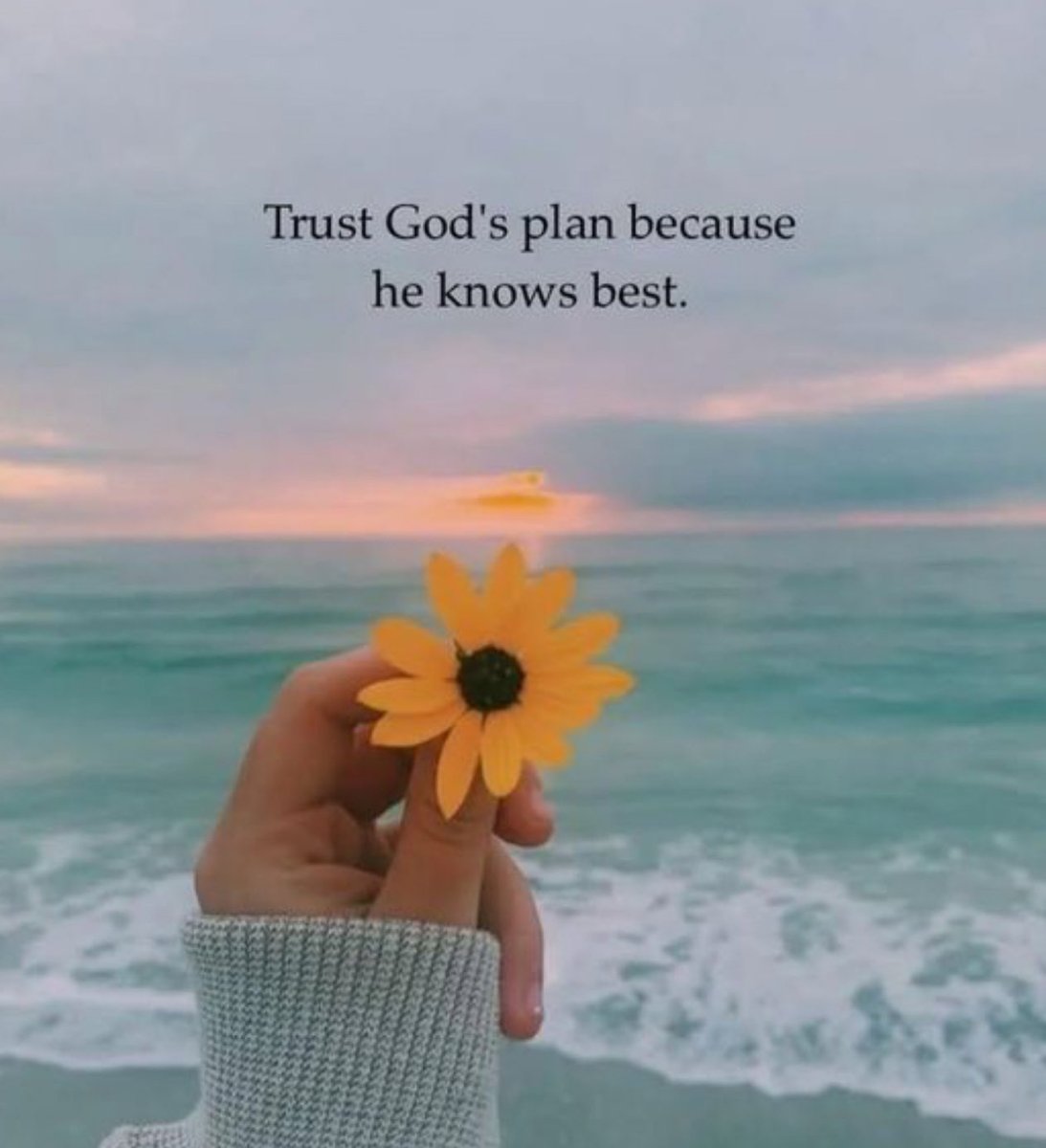 Good morning 🌅