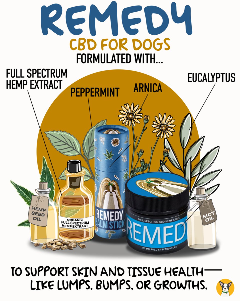 April’s Top Picks Are In! 🐾💚

Thank you for trusting us with your dog’s everyday wellness. 🌿 Crafted with premium Full Spectrum Hemp Extract and natural botanicals. 🐕✨

👉 Tap the link in bio to learn more!

#CBDDogHealth #NaturalWellness #HappyHealthyDogs #healingnaturally