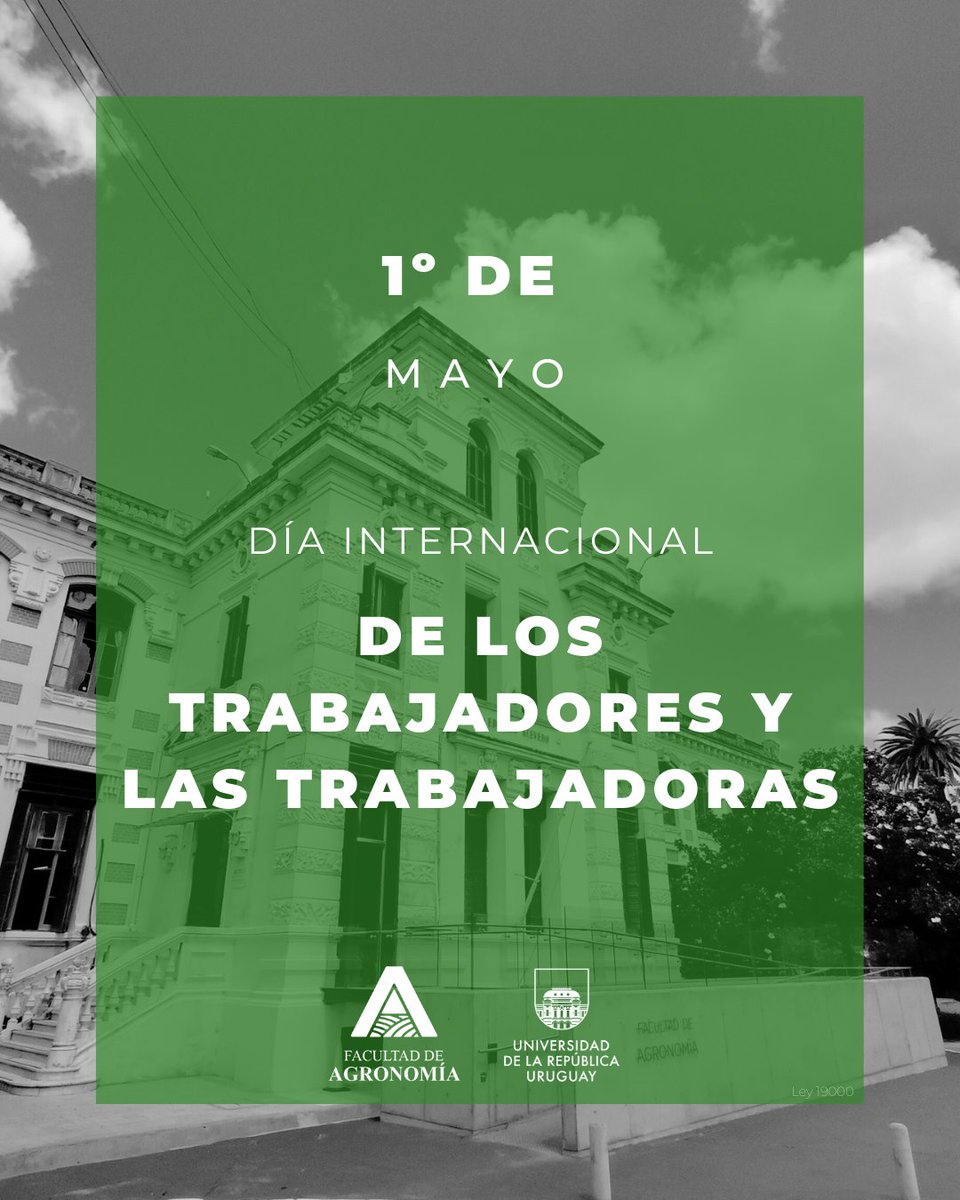 En el #DíaDeLosTrabajadores saludamos a quienes hacen posible el desarrollo del país con su compromiso diario.

🤝 Un agradecimiento especial a quienes trabajan en nuestra Facultad: su tarea sostiene y hace crecer esta comunidad.

#FacultadDeAgronomía #1deMayo