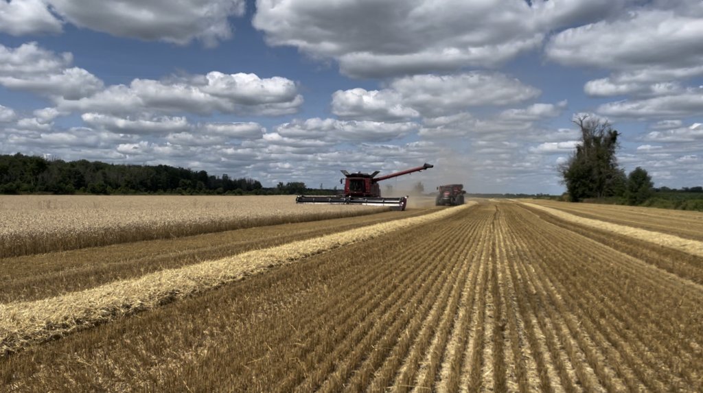 realagriculture's tweet photo. 2025 #BASFGrowingHome winners announced: https://t.co/zNDa9CGXcD 

#cdnag #ontag #westcdnag @BASFAgSolutions https://t.co/DmP3dtiA2Q