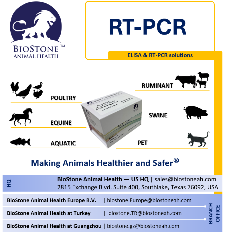 biostoneah's tweet photo. BioStone Animal Health, based in Dallas, TX, develops innovative animal health solutions. Our AsurDx™ ELISA & PCR reagents are simple, rapid, sensitive, and cost-effective. We support producers, labs, and veterinarians worldwide, making animals healthier and safer. #Biostone #AnimalHealth #diagnosis