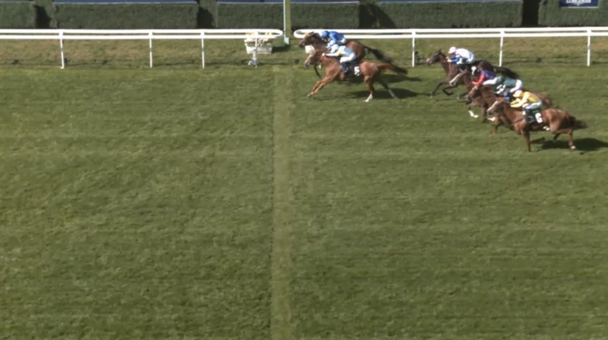 Joe Norris tweet media