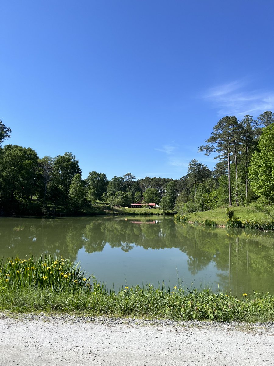 A few days ago I spent the day with wonderful new friends at SERENBE. This wellness community is located at the edge of Atlanta. This perfect day was filled with fresh air, horses, flowers, and amazing food!

<a href="/serenbe/">serenbe</a>