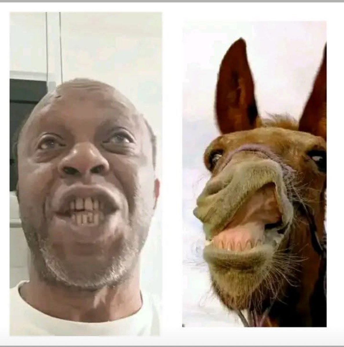 babadao86's tweet photo. @MaixSOME Le choc des images, le poids des maux 🤣🤣🤣🤣 Tonton va te brosser d’abord avant de parler🤧 https://t.co/EIzC5kHtEZ