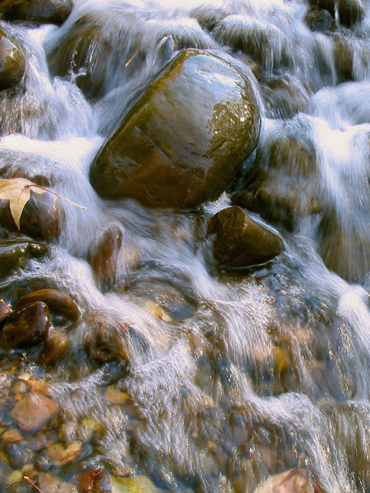 GoREGFORM's tweet image. Save the Date:  July 30-31, 2025.
Plan now to attend REGFORM's Missouri Water Seminar in Columbia, Missouri.
regform.org/25waterseminar