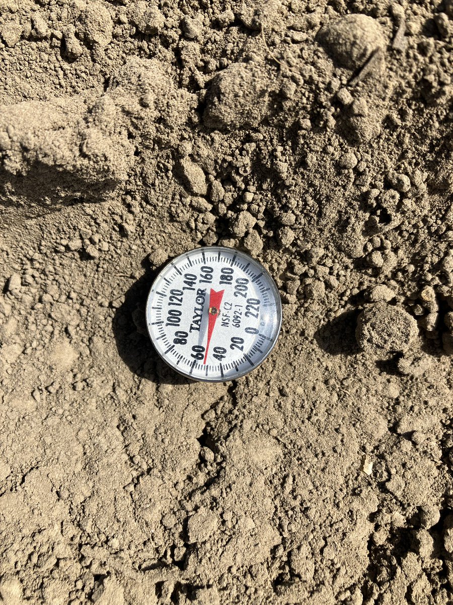 Chris Robson CCA-ON (@chrisrobson11) on Twitter photo Another corn plot in the books. A nice mix of current standards vs the new prospects coming for 2026. Even snuck in a biological strip with Fortified Stimulate. With the nights cooler temps the ground was warmer than expected. <a href="/PioneerSeedsCA/">Pioneer Seeds Canada</a> <a href="/CortevaCA/">Corteva Canada</a> Another corn plot in the books. A nice mix of current standards vs the new prospects coming for 2026. Even snuck in a biological strip with Fortified Stimulate. With the nights cooler temps the ground was warmer than expected. <a href="/PioneerSeedsCA/">Pioneer Seeds Canada</a> <a href="/CortevaCA/">Corteva Canada</a>