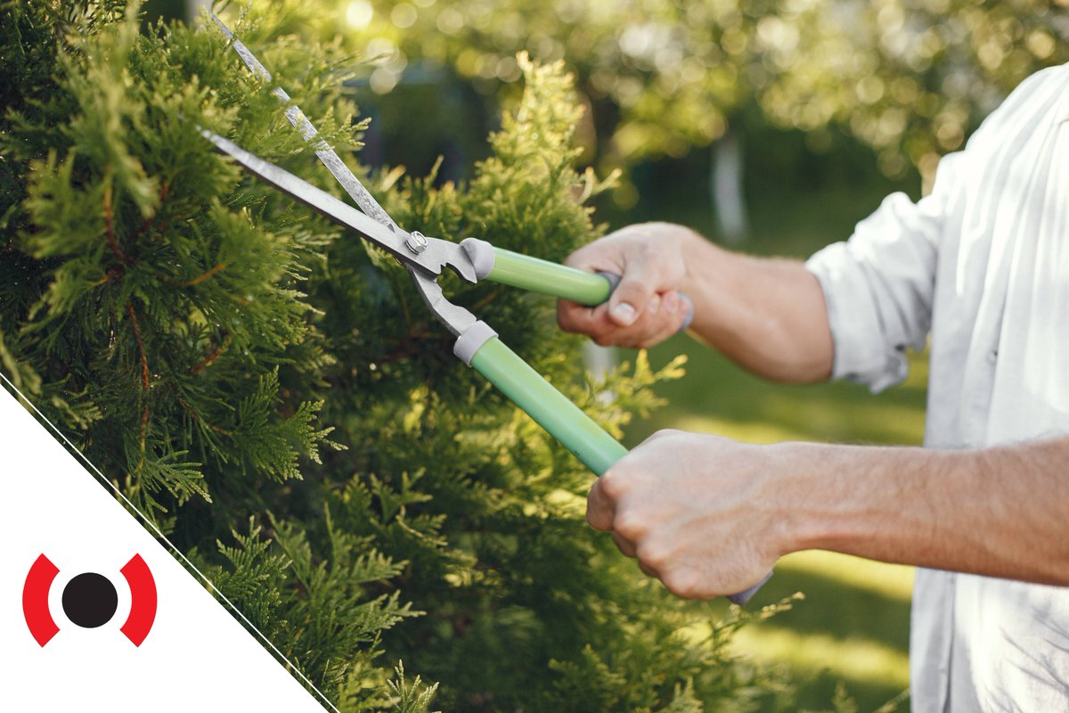 BELFORGroup's tweet image. Spring into action! Safeguard your property by trimming shrubs and trees away from your home - this will help prevent your siding from getting scratched or damaged during high winds or severe weather.

#BELFORTips #SpringSafety