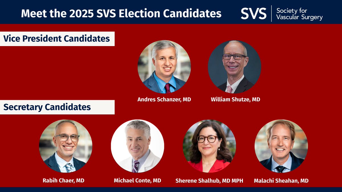 We’re excited to introduce the incredible candidates for vice president and secretary in the 2025 SVS election! Stay tuned—we’ll be sharing more about each nominee and their goals if elected, so you’ll be ready when voting opens May 15.