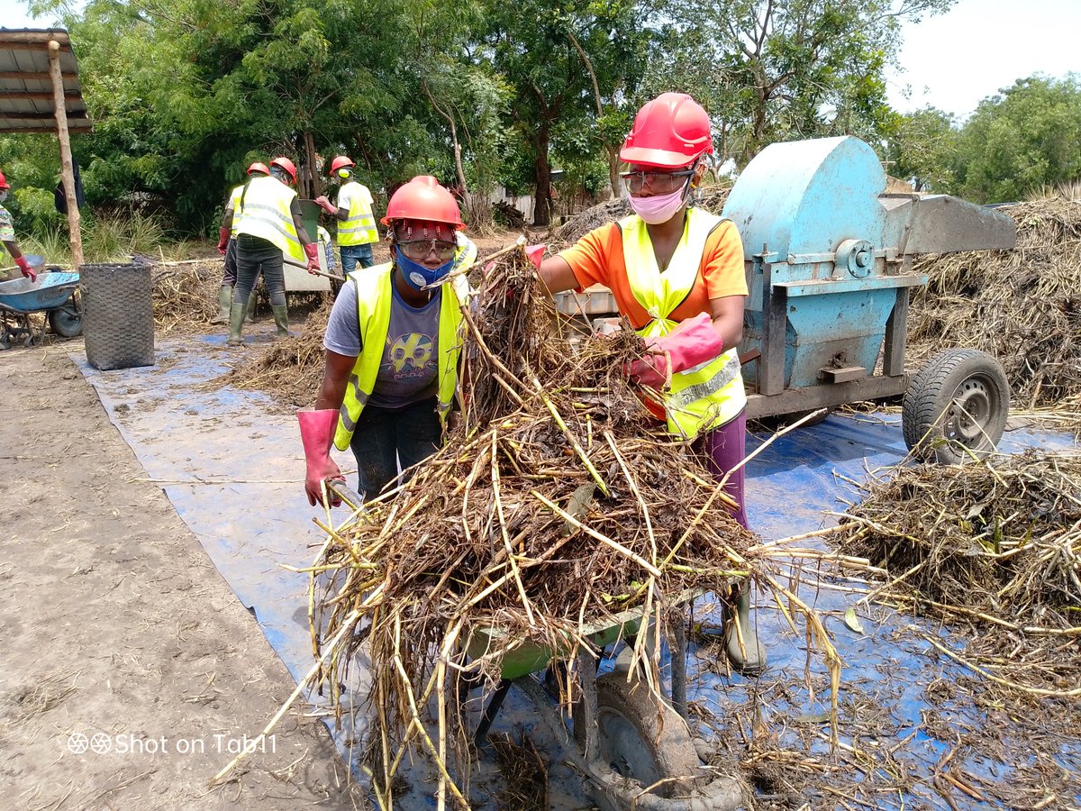 À Agbanakin, Dame Abla DONSI participe activement à la valorisation des végétaux extraits en les transformant en compost.
Lire l’article complet ici : wacaprogram.org/fr/article/agb…
#WACA_program #Agbanakin #CurageChenal #Compost #TransitionÉcologique #DéveloppementDurable