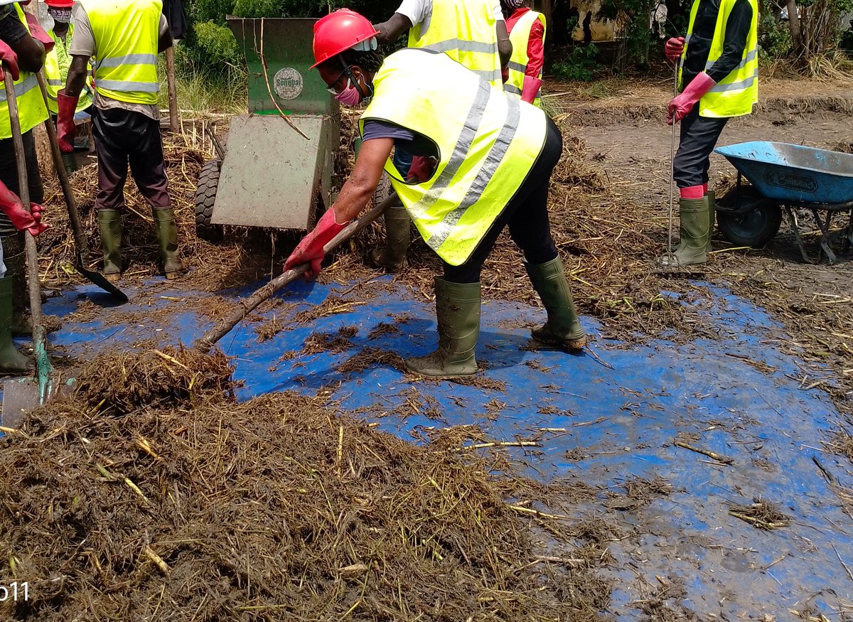 wacaprogram's tweet image. À Agbanakin, Dame Abla DONSI participe activement à la valorisation des végétaux extraits en les transformant en compost.
Lire l’article complet ici : wacaprogram.org/fr/article/agb…
#WACA_program #Agbanakin #CurageChenal #Compost #TransitionÉcologique #DéveloppementDurable