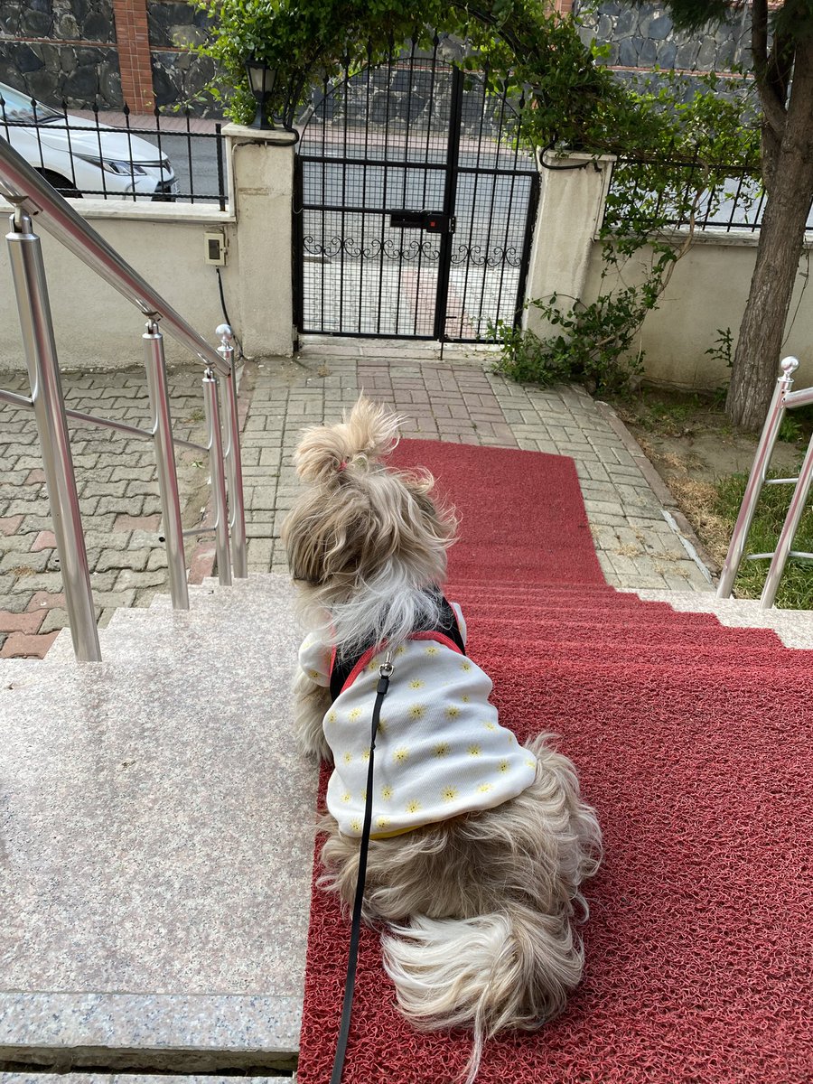 Tripppli benim kız eve geldik 🐶😂🩷