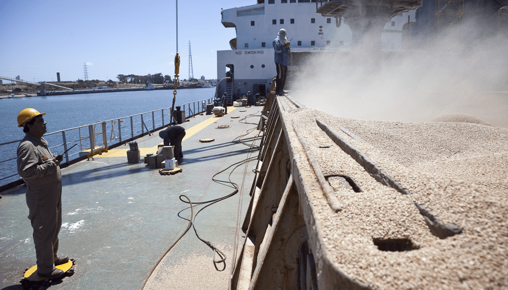 🚨 Clave en el mercado de granos: el Gobierno cambia la metodología para fijar los precios FOB.
🚢 La Secretaría de Agricultura, Ganadería y Pesca creó un nuevo “manual” que será el que se utilice para establecer los precios FOB. INFOCAMPO
ℹ️👉 t.ly/u1mVK