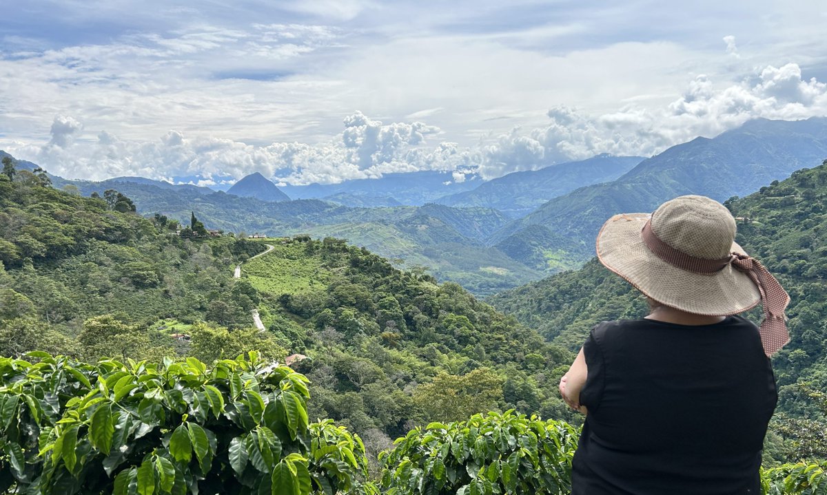 FWT Magazine tweet media