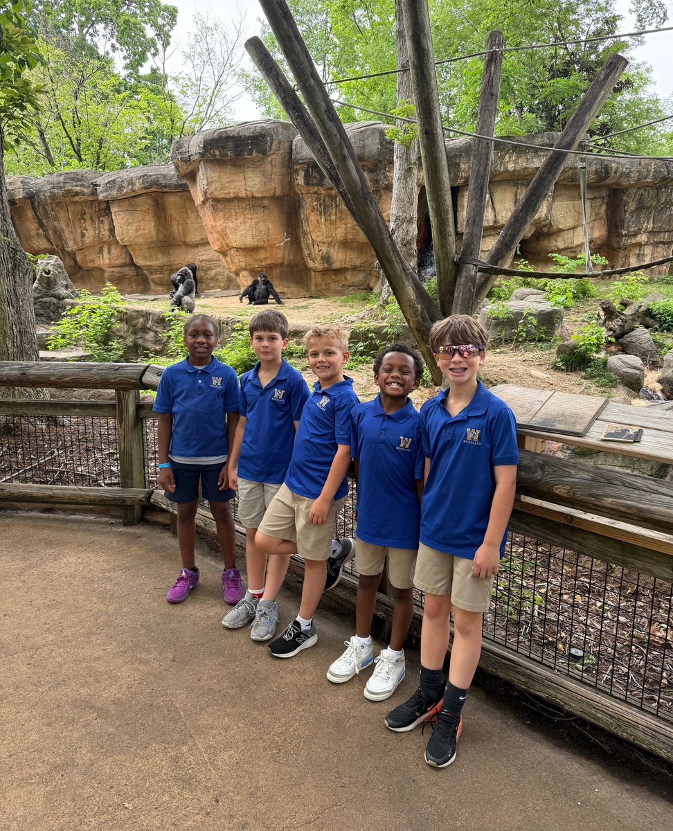 Woodland Presbyterian School tweet media