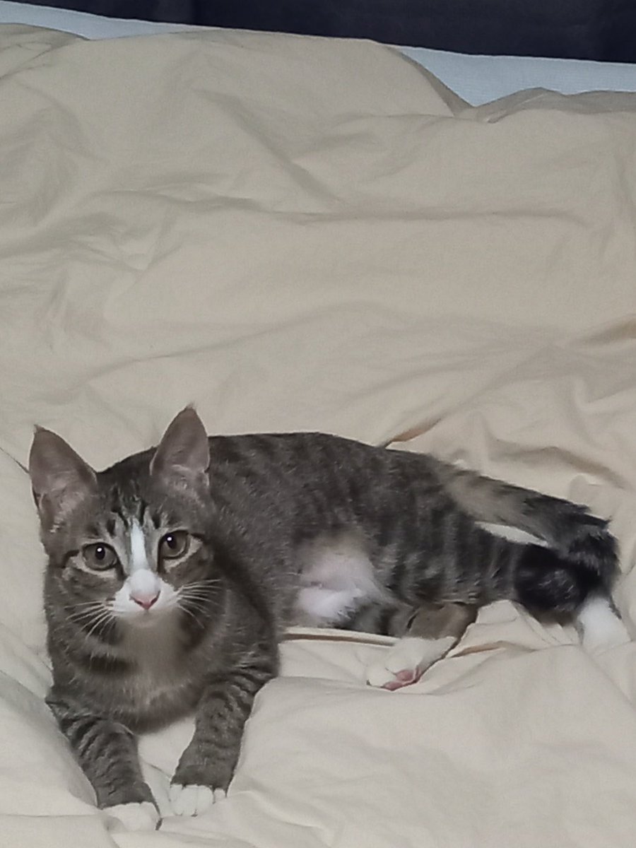 할아버지 밥찷여.