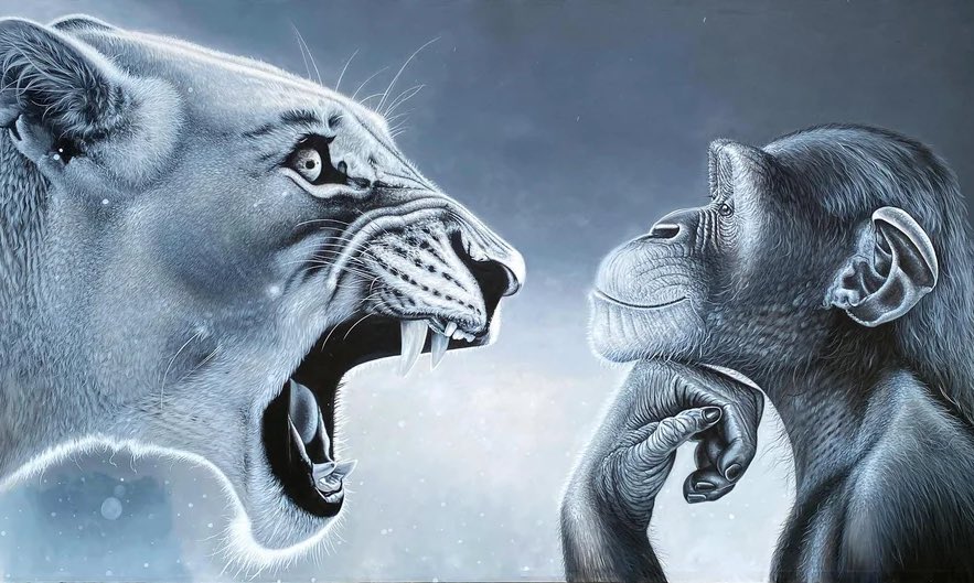 how it feels being immune to ragebait