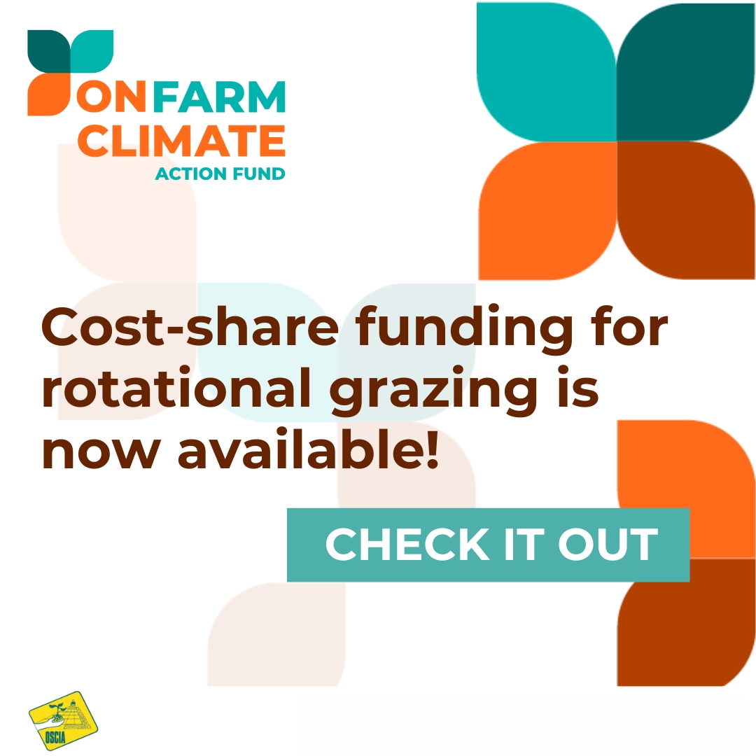 APPLY NOW!   

Interested in expanding or implementing 

Rotational Grazing with the help of COST-SHARE FUNDING?   

Intake is now open (closing May 9 at 3pm): check out the #OFCAF program guide on programguides.ontariosoilcrop.org/program/rotati… for all the details.  

 #OntAg #OntarioSoilCrop