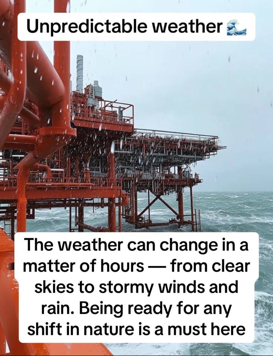 papii 🀄️ tweet media