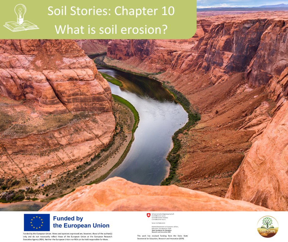 SOILSCAPE Project (@soilscape_eu) on Twitter photo 💡Soil Stories: Chapter 10 - What is soil erosion?
Every year, millions of tons of fertile topsoil are lost to soil erosion — a silent crisis threatening our farms, forests, and future. 🌎
<a href="/HorizonEU/">Horizon Europe 🇪🇺</a> <a href="/EUScienceInnov/">EU Science & Innovation 🇪🇺</a> <a href="/UNESCOVenice/">UNESCO Venice Office</a>
#MissionSoil #SoilStories 💡Soil Stories: Chapter 10 - What is soil erosion?
Every year, millions of tons of fertile topsoil are lost to soil erosion — a silent crisis threatening our farms, forests, and future. 🌎
<a href="/HorizonEU/">Horizon Europe 🇪🇺</a> <a href="/EUScienceInnov/">EU Science & Innovation 🇪🇺</a> <a href="/UNESCOVenice/">UNESCO Venice Office</a>
#MissionSoil #SoilStories