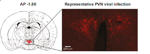 Inbal Ben-Ami Bartal tweet media