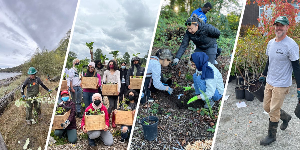 Unlock Funding for Your City’s Natural Resources! Do you work for a City in King County? Did you know that KCD has funding available to help King County Cities improve natural resources, reduce stormwater pollution, and enhance urban tree canopy?
kingcd.org/2025/04/24/unl…