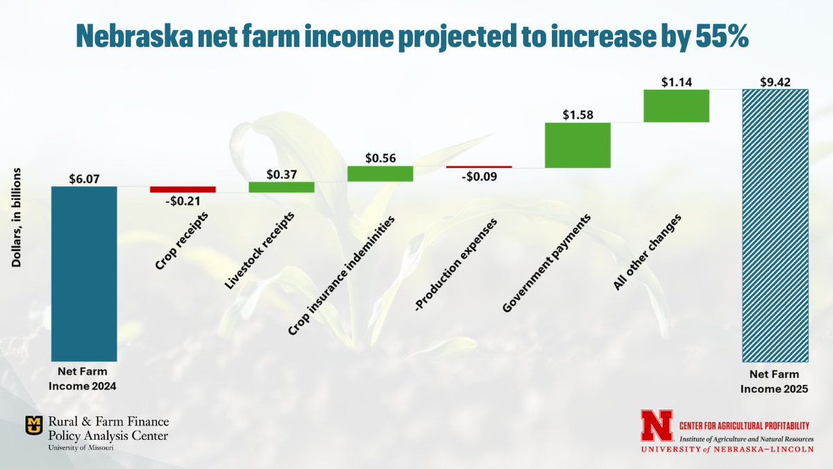 RaFF and the University of Nebraska-Lincoln project net farm income to climb 55% to $9.42 billion in 2025. 

Explore the full report and data: ruralandfarmfinance.com/farm-income/
