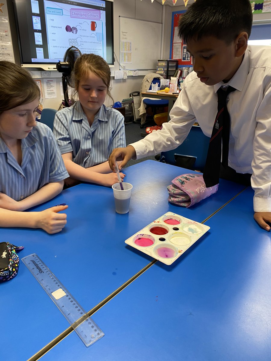 MerchantsCrosby's tweet image. As part of #BritishScienceWeek, our Year 5 pupils explored the theme of ‘Change and Adapt’ with a brilliant hands-on experiment using red cabbage as a natural pH indicator! 🥬

They tested a variety of household substances to see how the cabbage water changed colour - revealing