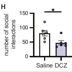 Inbal Ben-Ami Bartal tweet media