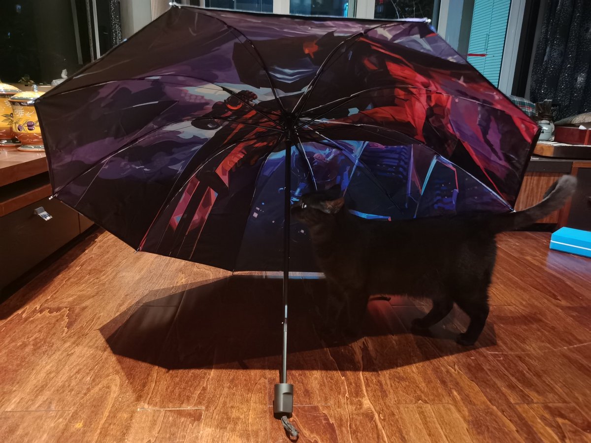 朋友整活送了我把omen的伞哈哈
然后我家猫猫跑到下面去了