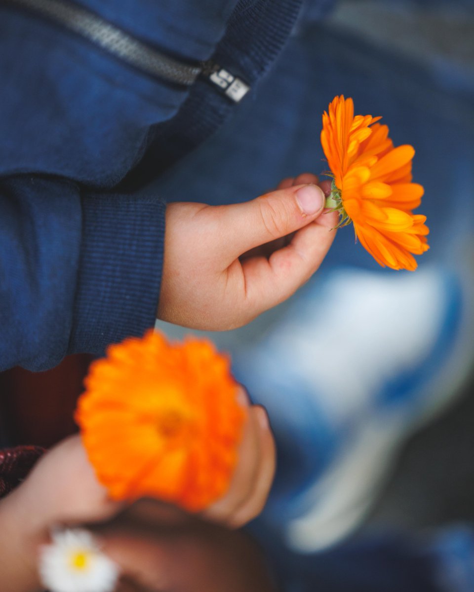 🌾 La Cité Éducative de La Rochelle a accompagné le Collectif Actions Solidaires pour le projet Semons les Graines de l’Égalité.

Au programme ? Des temps d’observations et un partenariat avec la Librairie Gréfine et la Crèche Les Ptits Futés 🦒

<a href="/Prefet17/">Préfet de la Charente-Maritime 🇫🇷🇪🇺</a>  <a href="/DSDEN17/">DASEN17</a>