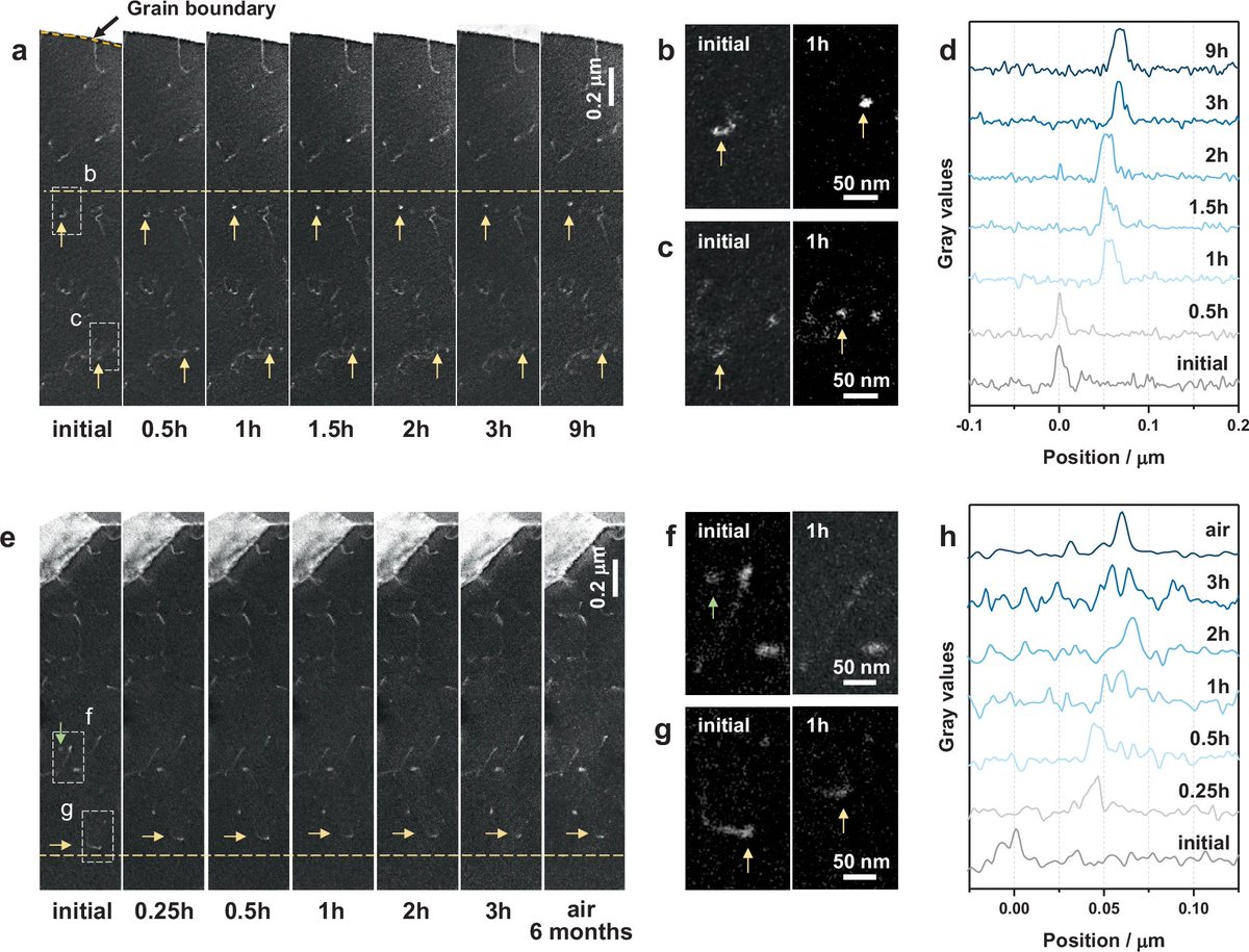 DMSE at MIT (@mit_dmse) on Twitter photo In a <a href="/NatureComms/">Nature Communications</a> paper, DMSE Profs. Cem Tasan, Ju Li, and other researchers show that hydrogen both moves and pins dislocations—tiny defects in metals—influencing how metals behave in hydrogen-rich environments. buff.ly/fwZV0IX In a <a href="/NatureComms/">Nature Communications</a> paper, DMSE Profs. Cem Tasan, Ju Li, and other researchers show that hydrogen both moves and pins dislocations—tiny defects in metals—influencing how metals behave in hydrogen-rich environments. buff.ly/fwZV0IX
