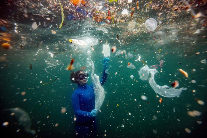 Microplastics could be hampering the ocean’s ability to capture carbon

A global survey of microplastics in oceans reveals that tiny particles of plastic are prevalent throughout the water column, which could harm marine ecosystems and affect carbon storage in the deep sea