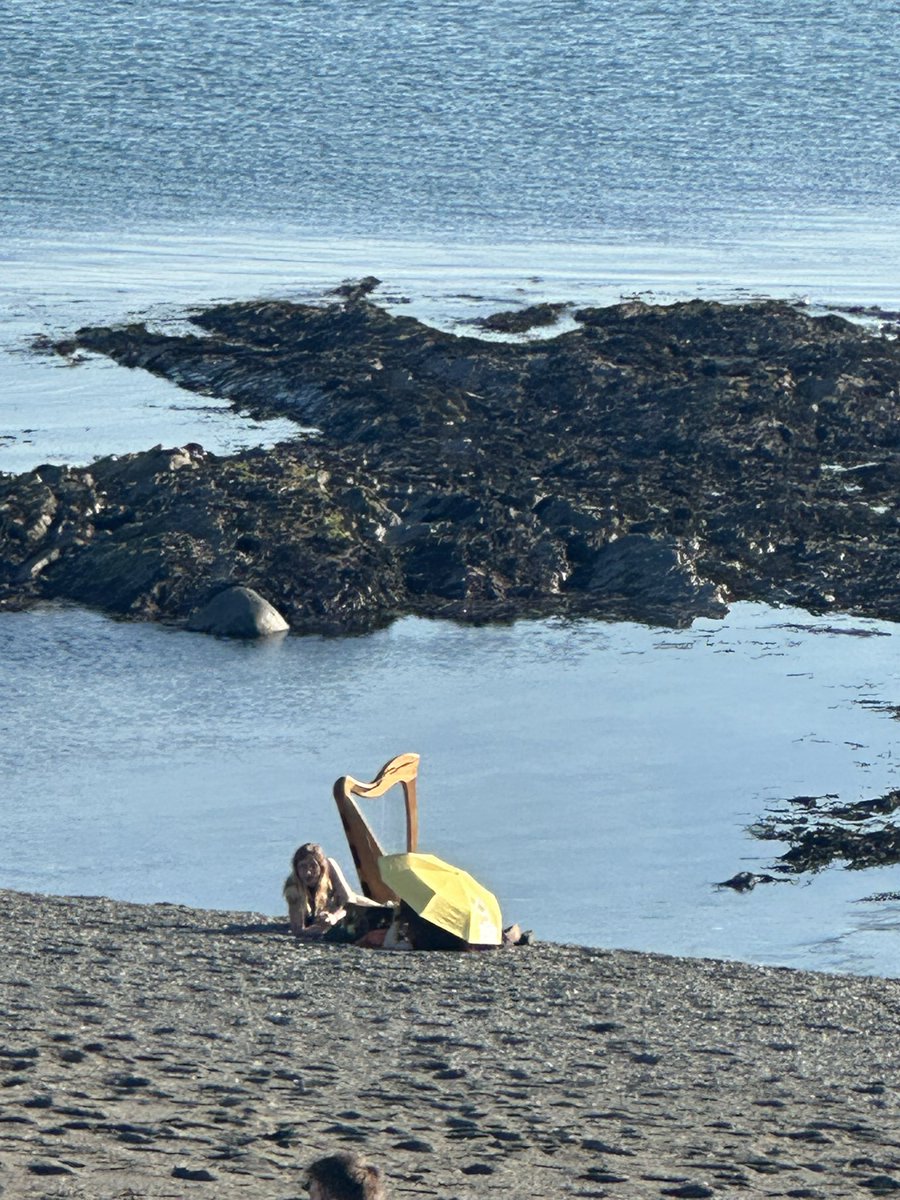 Michael Woods tweet media