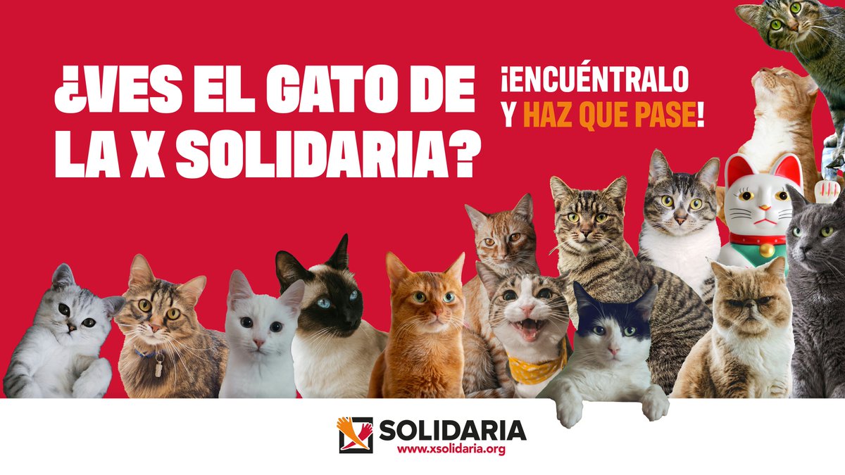 😺 Quizás el gatito de la suerte no consiga que te cambie la suerte.... ¡pero tú sí puedes hacer que le pase a quienes más lo necesitan!

📝 Porque cuando marcas la <a href="/XSolidaria/">XSolidaria</a> en tu renta ayudas a millones de personas en situación de vulnerabilidad 🙌 #HazQuePase #XSolidaria