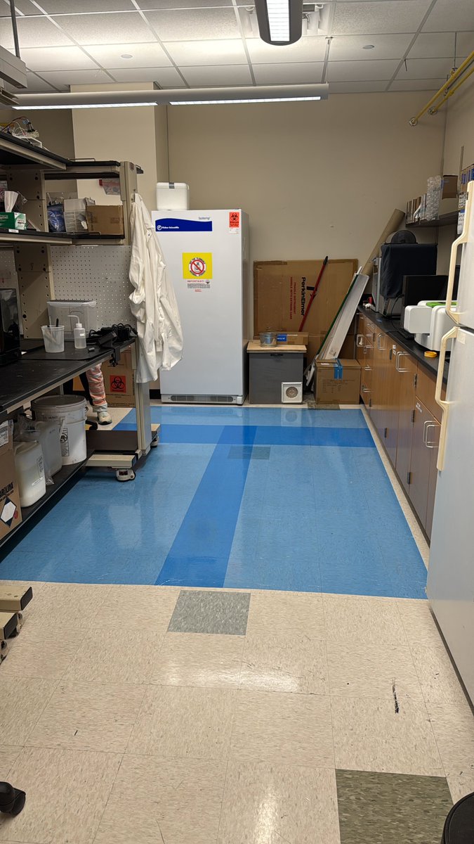 MDI_Lab's tweet image. Spring Semester ending = Spring cleaning time! 🧪🧹 Big thanks to our amazing lab team for tidying up today! Lab space now clean, organized, and ready for more breakthrough science! #LabLife #SpringCleaning