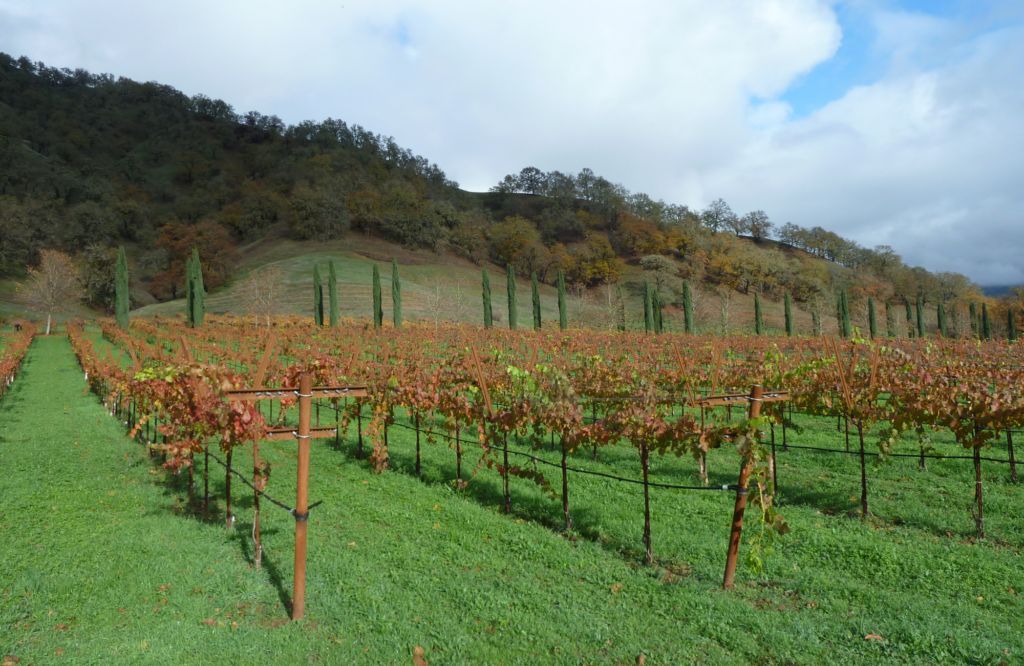Updated Post: The Mendocino Land Trust Receives a $250,000 Grant from the Sustainable Agricultural Lands Conservation Program mendocinolandtrust.org/the-mendocino-…